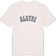 Alatri college T-shirt