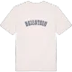 Beilstein college T-shirt