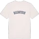 Bildstein college T-shirt
