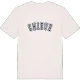 Chieve college T-shirt