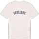 Coullons college T-shirt