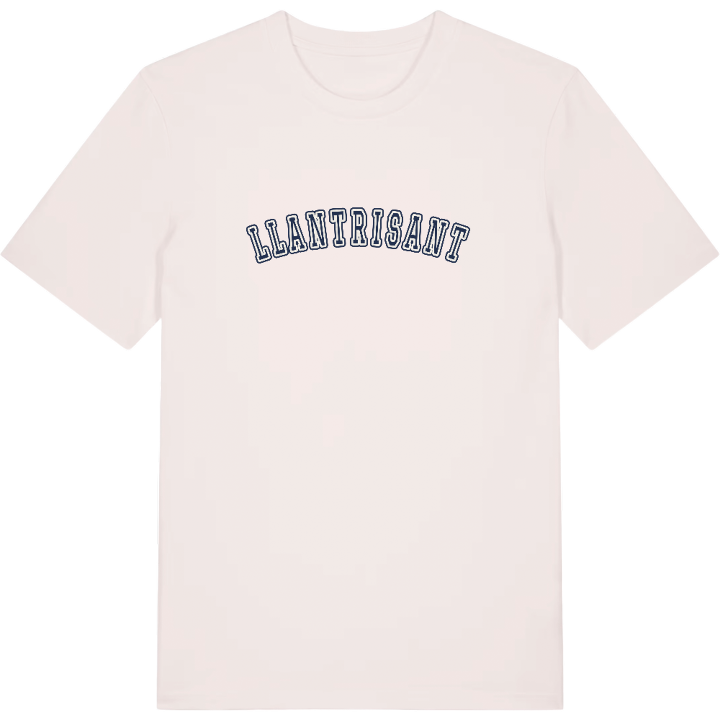 Llantrisant college T-shirt – t-shirt fra PinShirt
