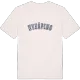 Nyköping college T-shirt