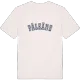 Pälkäne college T-shirt