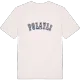 Polatlı college T-shirt