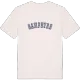 Sampeyre college T-shirt