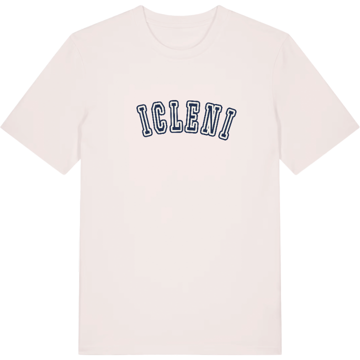 Țicleni college T-shirt – t-shirt fra PinShirt