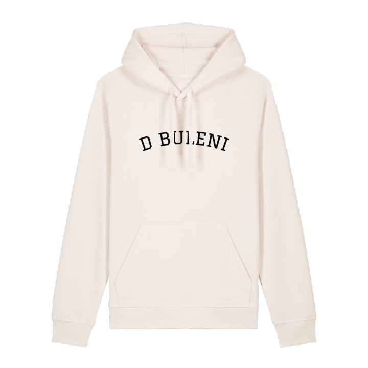 Dăbuleni arc hoodie – hoodie from PinShirt