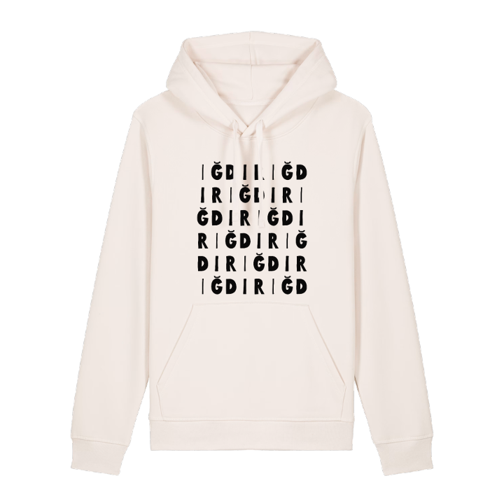 Iğdır wordplay hoodie – hoodie from PinShirt