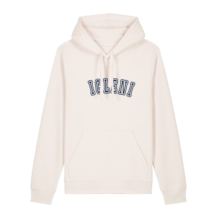 Țicleni college hoodie – hoodie from PinShirt