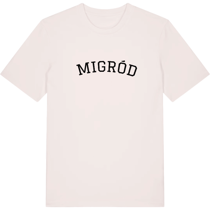 Żmigród arc t-shirt – t-shirt from PinShirt