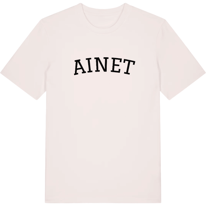 Ainet arc t-shirt – t-shirt from PinShirt