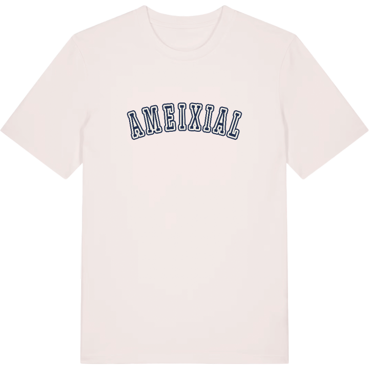Ameixial college t-shirt – t-shirt from PinShirt
