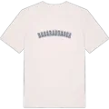 Basarabeasca college t-shirt