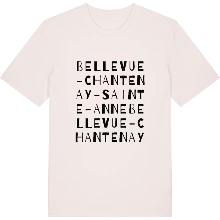 Bellevue - Chantenay - Sainte-Anne wordplay t-shirt – t-shirt from PinShirt