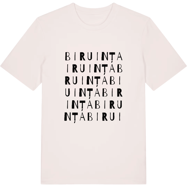 Biruința wordplay t-shirt – t-shirt from PinShirt