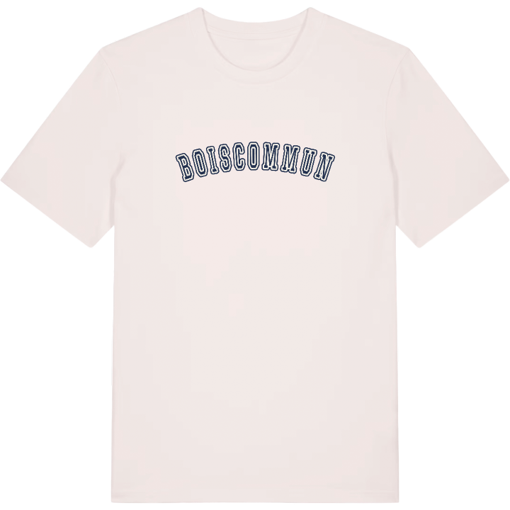 Boiscommun college t-shirt – t-shirt from PinShirt