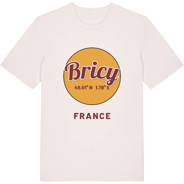 Bricy circle t-shirt – t-shirt from PinShirt