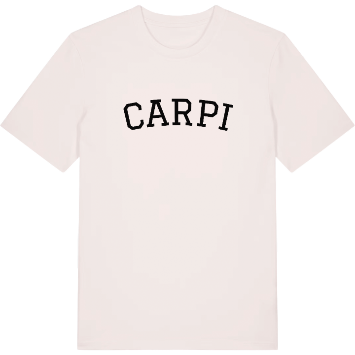 Carpi arc t-shirt – t-shirt from PinShirt