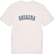 Chiajna college t-shirt