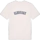 Clervaux college t-shirt