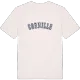 Cornille college t-shirt
