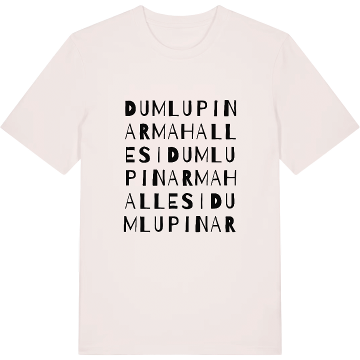 Dumlupınar Mahallesi wordplay t-shirt – t-shirt from PinShirt