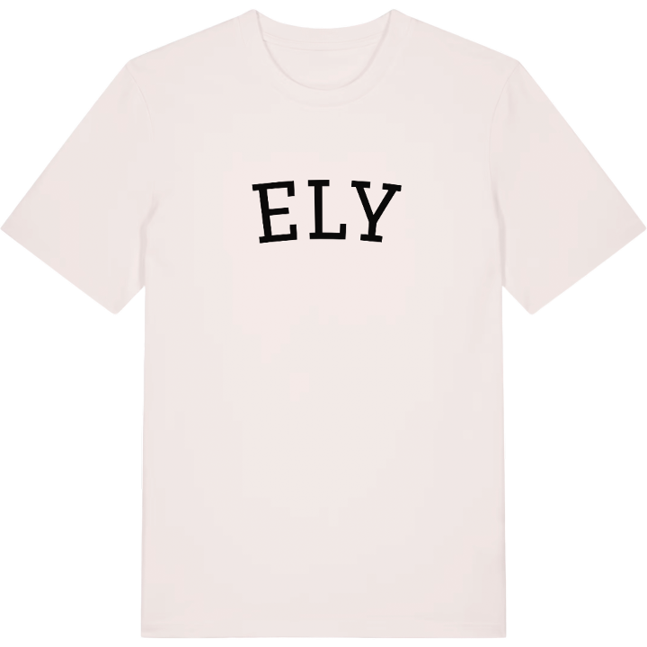 Ely arc t-shirt – t-shirt from PinShirt
