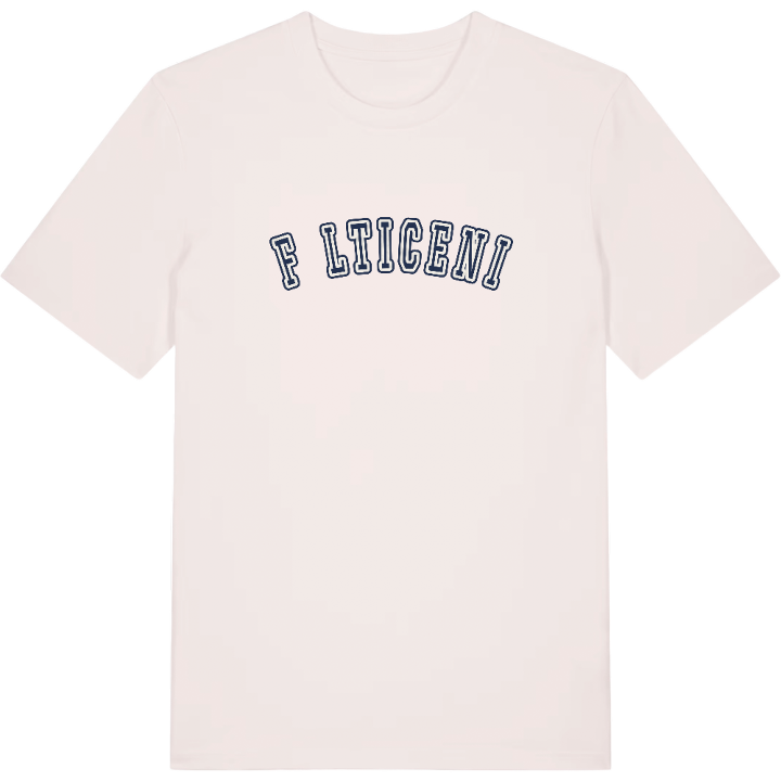 Fălticeni college t-shirt – t-shirt from PinShirt