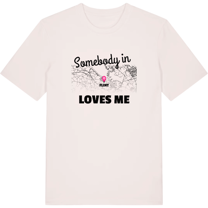 Someone in Flint loves me t-shirt – t-shirt from PinShirt