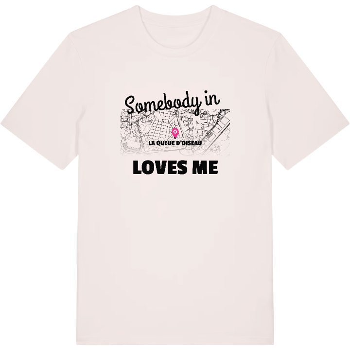Someone in La Queue d'Oiseau loves me t-shirt – t-shirt from PinShirt