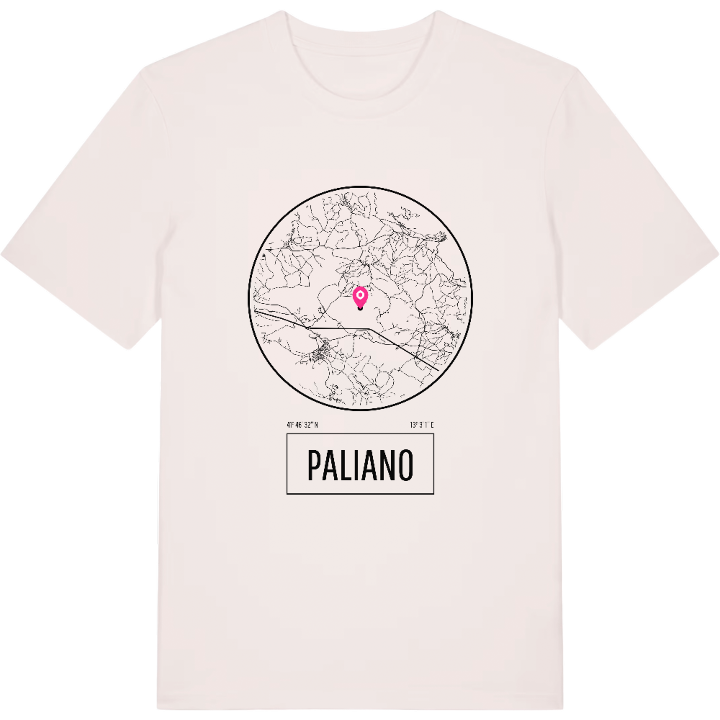 Paliano t-shirt – t-shirt from PinShirt