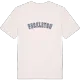 Peckleton college t-shirt