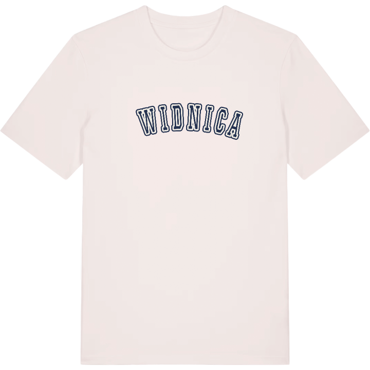 Świdnica college t-shirt – t-shirt from PinShirt