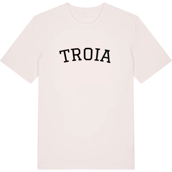 Troia arc t-shirt – t-shirt from PinShirt