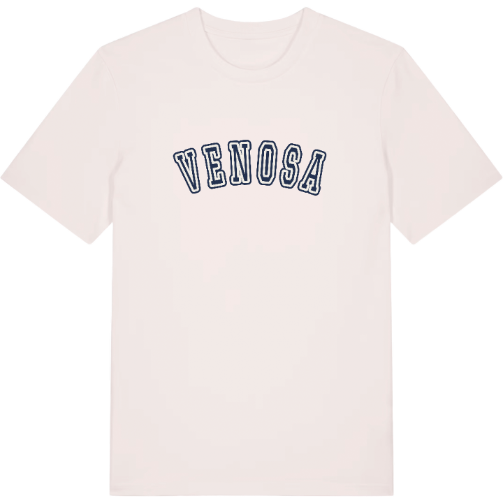 Venosa college t-shirt – t-shirt from PinShirt