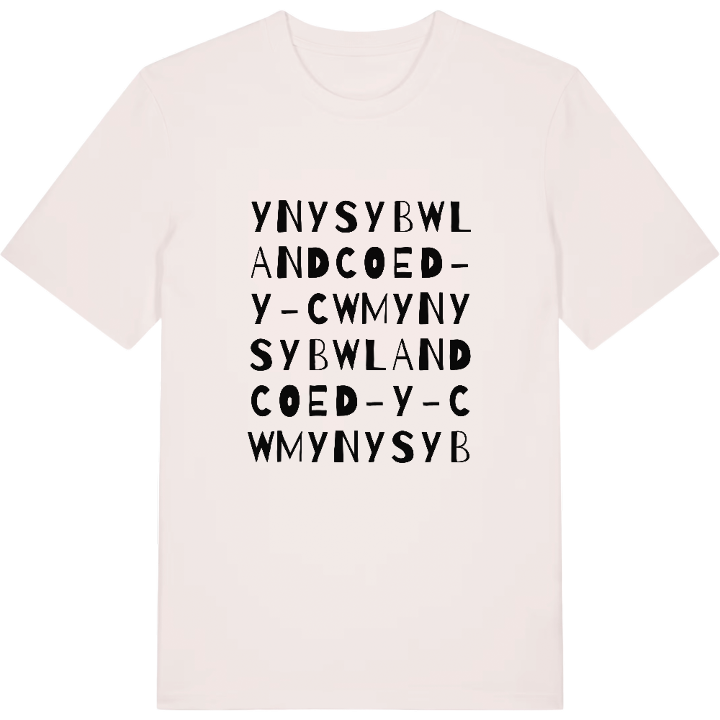 Ynysybwl and Coed-y-cwm wordplay t-shirt – t-shirt from PinShirt