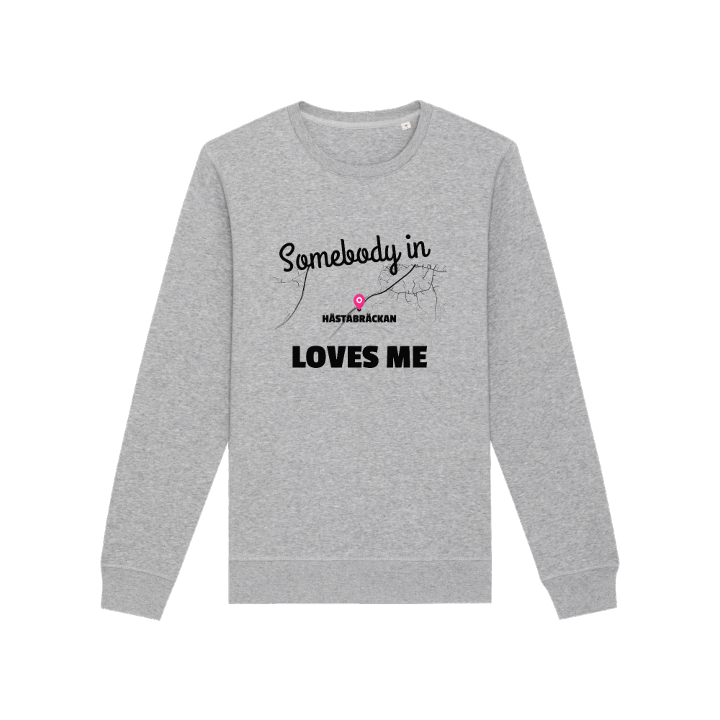 Someone in Hästabräckan loves me -collegepaita – collegepaita, PinShirt