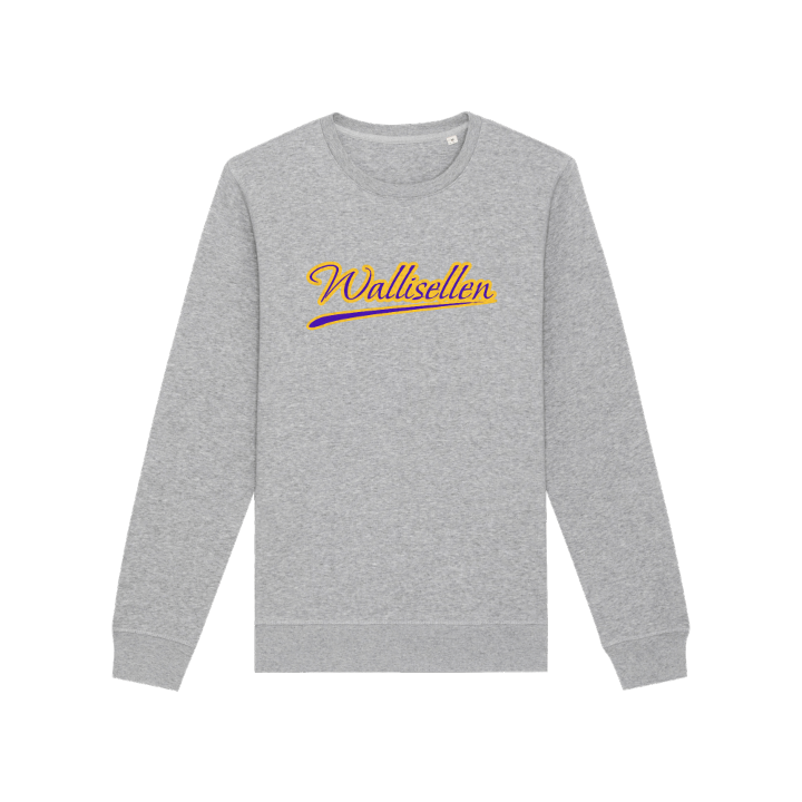 Wallisellen baseball -collegepaita – collegepaita, PinShirt