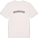 Abrahamstorp college t-shirt