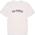 Ala-Pispala college t-shirt