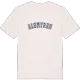 Alemyren college t-shirt