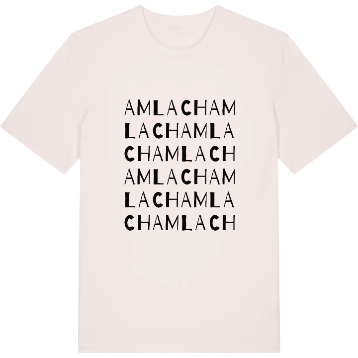 Amlach ordlek t-shirt – t-shirt från PinShirt