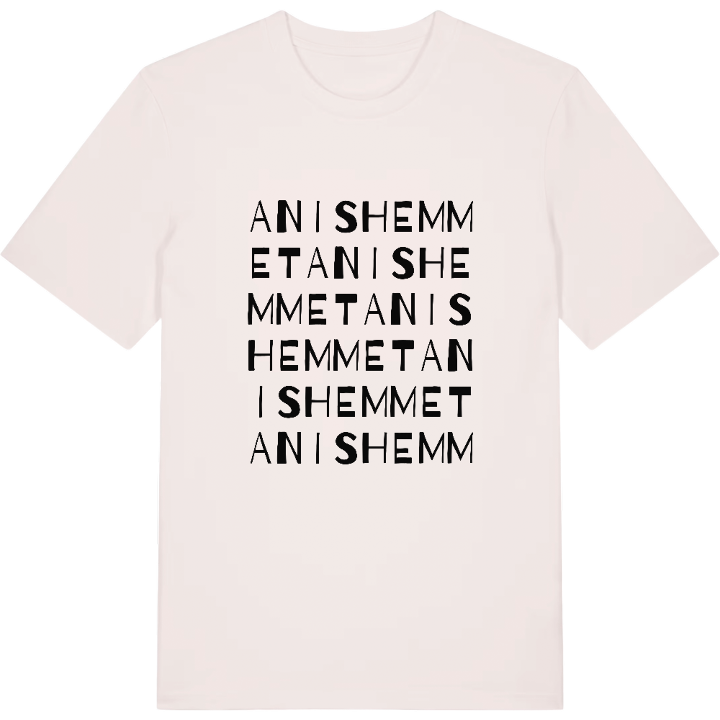 Anishemmet ordlek t-shirt – t-shirt från PinShirt