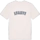 Ansarve college t-shirt