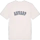 Anvarp college t-shirt