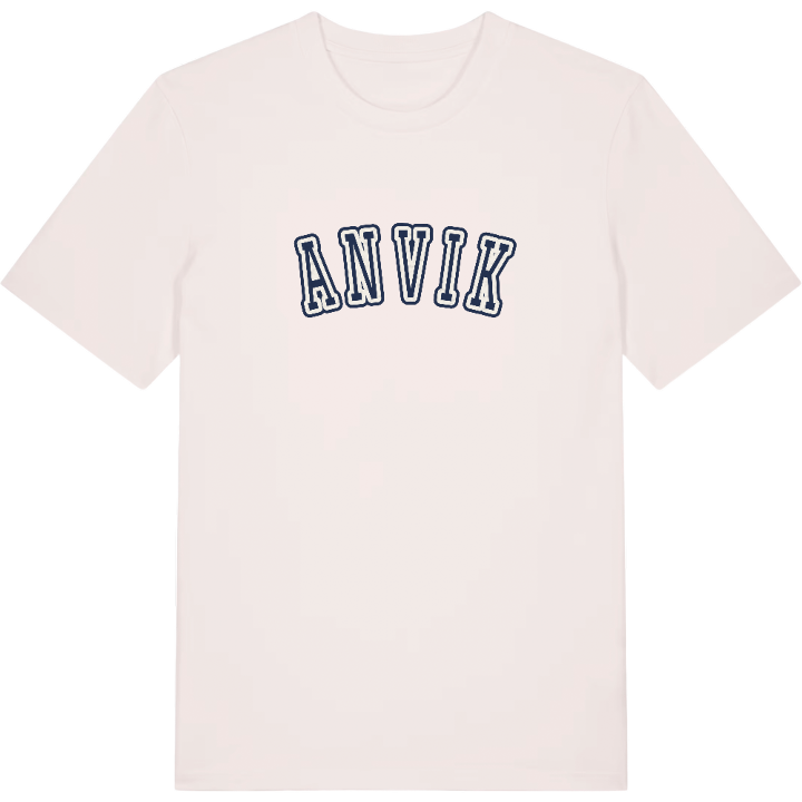 Anvik college t-shirt – t-shirt från PinShirt