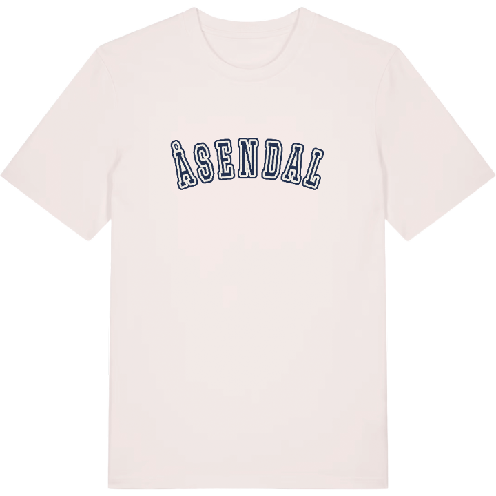 Åsendal college t-shirt – t-shirt från PinShirt