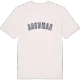 Assumar college t-shirt