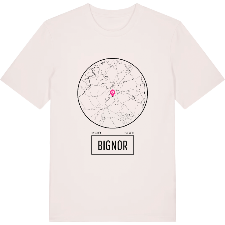 Bignor t-shirt – t-shirt från PinShirt